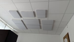PXL_20250621_121742808.jpg