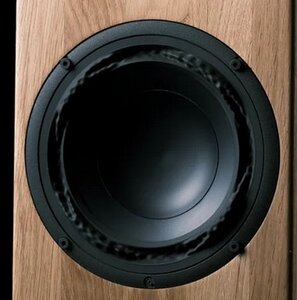 Screenshot 2025-09-11 165809.jpg