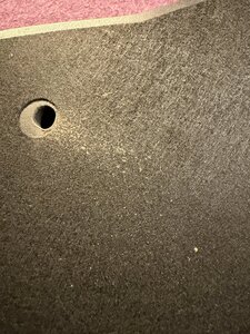 IMG_3917.jpeg