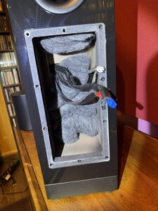 IMG_3942.jpeg