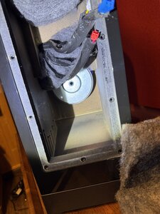 IMG_3943.jpeg