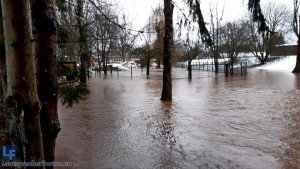 Hochwasser-29.01.2021-5.jpg