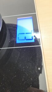 20240727_084858 F.jpg
